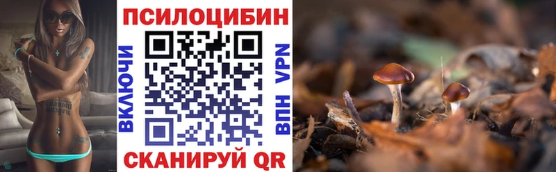 Галлюциногенные грибы мицелий  Среднеколымск 